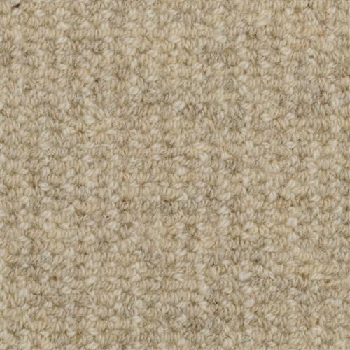 Heatherpoint 9247 In 804 Cobblestone Carpet Flooring | Masland Carpets