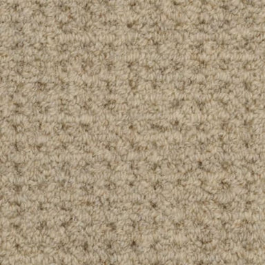 Etchings Carpet Flooring | Masland Carpets