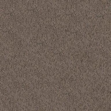 MZ760 Carpet | Masland — Masland Carpets