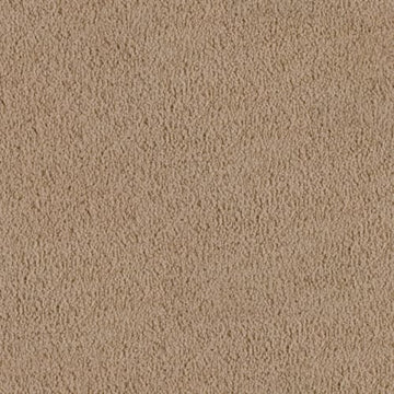 Parchment