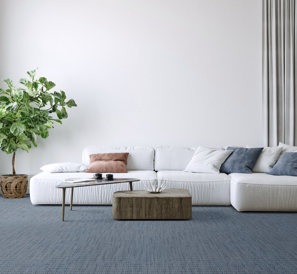 Delray Carpet Flooring Masland Carpets