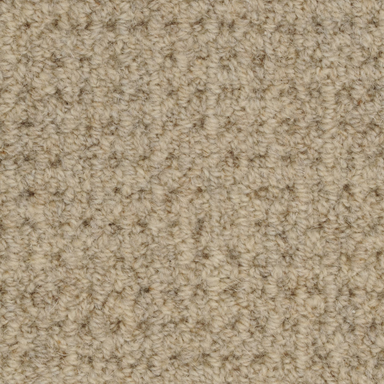 Etchings Carpet Flooring | Masland Carpets