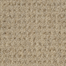Etchings Carpet Flooring | Masland Carpets