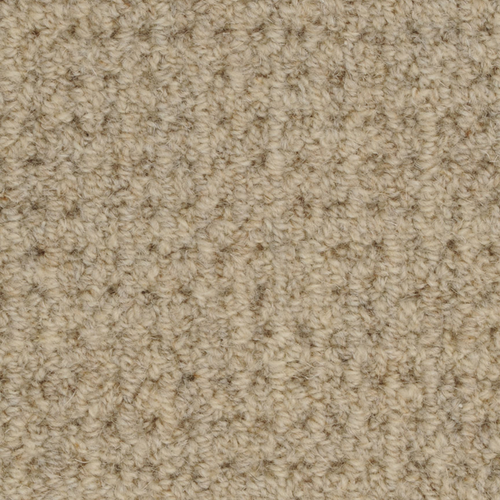 Etchings Carpet Flooring | Masland Carpets