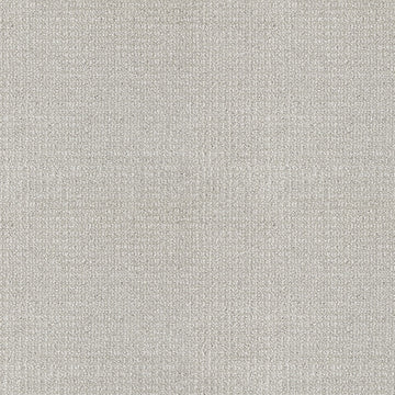 Labrador