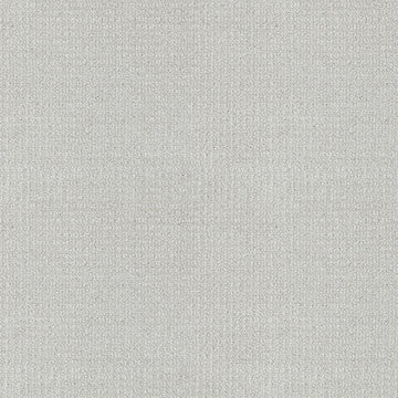Spaniel