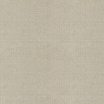 Terrier