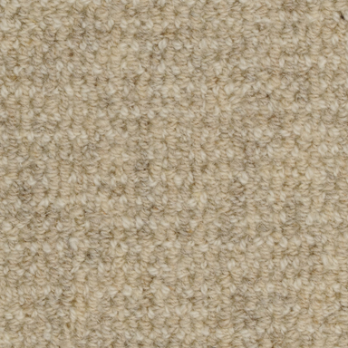 Heatherpoint Carpet Flooring | Masland Carpets
