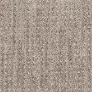 Imagine Carpet Flooring | Masland Carpets