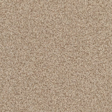 Maple Tint