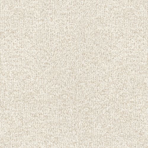 MZ860 Carpet | Masland — Masland Carpets
