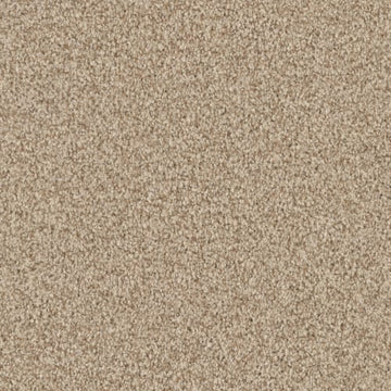 Sesame Seed