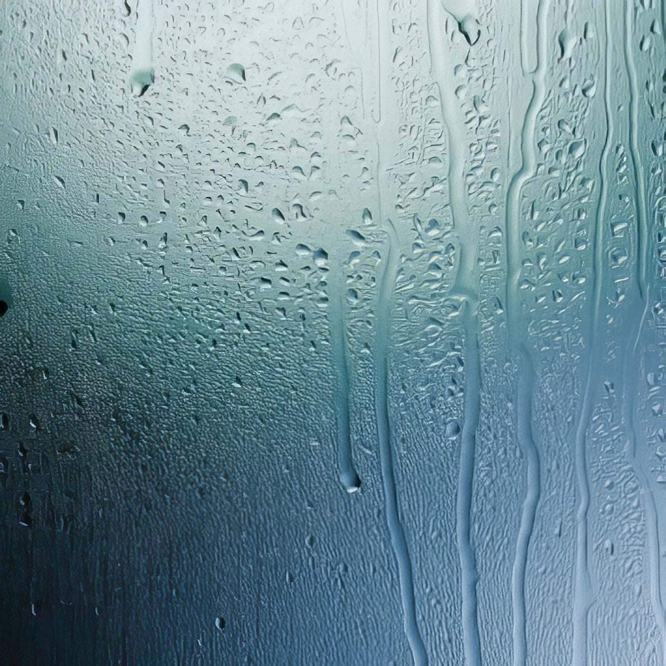 Strong Wool Benefits — Masland Carpets