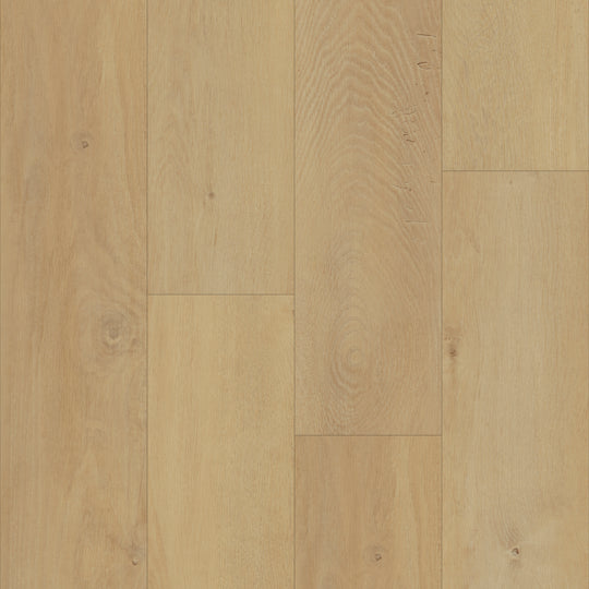 Prime X 7 in Malabar Oak