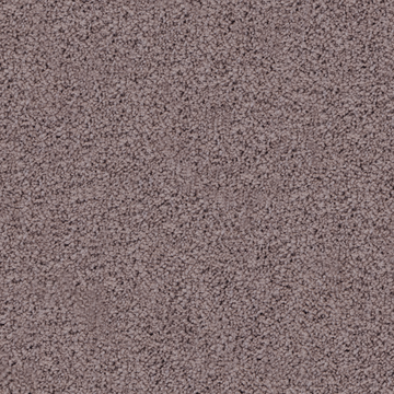 Wisteria