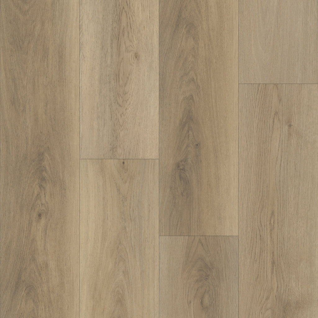 TX101 in Stormy Oak Flooring | TRUCOR — Masland Carpets