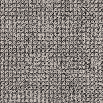 Oyster Shell