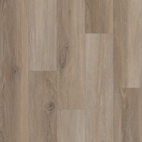 Prime in Denali Oak