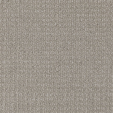 Afghan