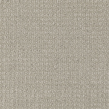 Spaniel