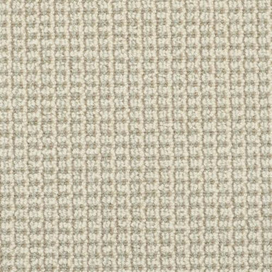 Tresor 9217 In 405 Aquatic Carpet Flooring | Masland Carpets