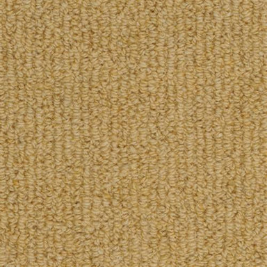 Woven Road 9246 In 905 Carina Carpet Flooring | Masland Carpets