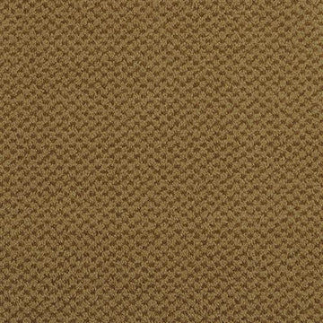 Raw Umber