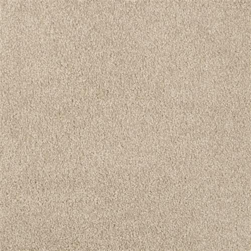 Perdido 9497Z In 525 Alphano Carpet Flooring | Masland Carpets