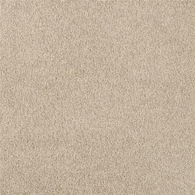 Key West 9497 In 525 Alphano Carpet Flooring | Masland Carpets