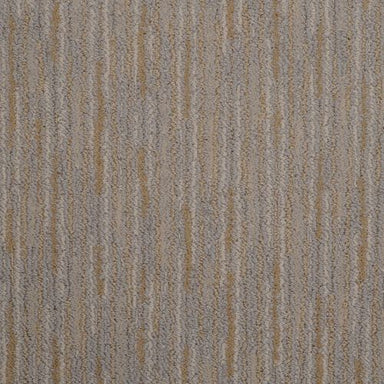 Artistic Vision 9516 In 811 Birch Bark Carpet Flooring | Masland Carpets