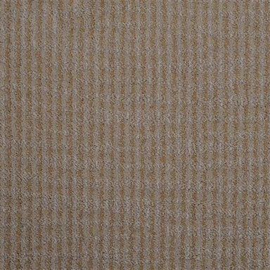 Kaiser 9517Z In 811 Birch Bark Carpet Flooring | Masland Carpets