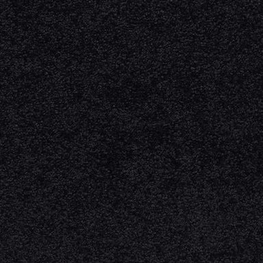Kaleigh 9615Z In 901 After Midnight Carpet Flooring | Masland Carpets