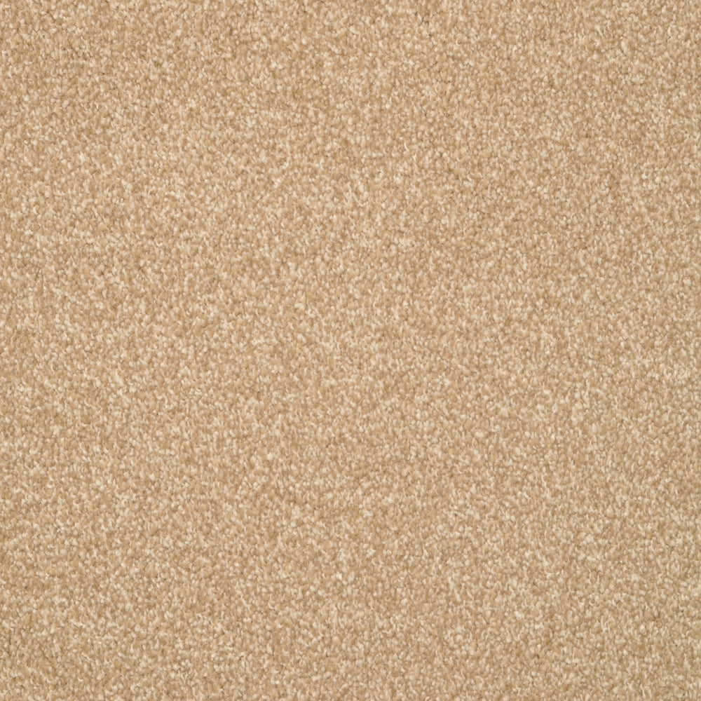 Beacon Hill Carpet Flooring Masland Carpets