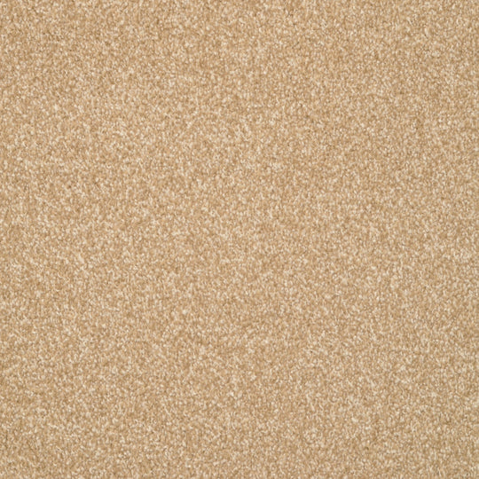 New Comfort - Signature