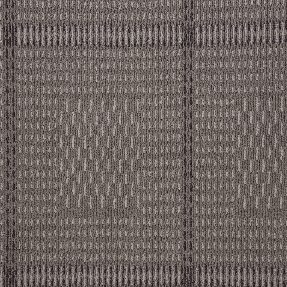 EnVision SD Pet Solutions — Masland Carpets