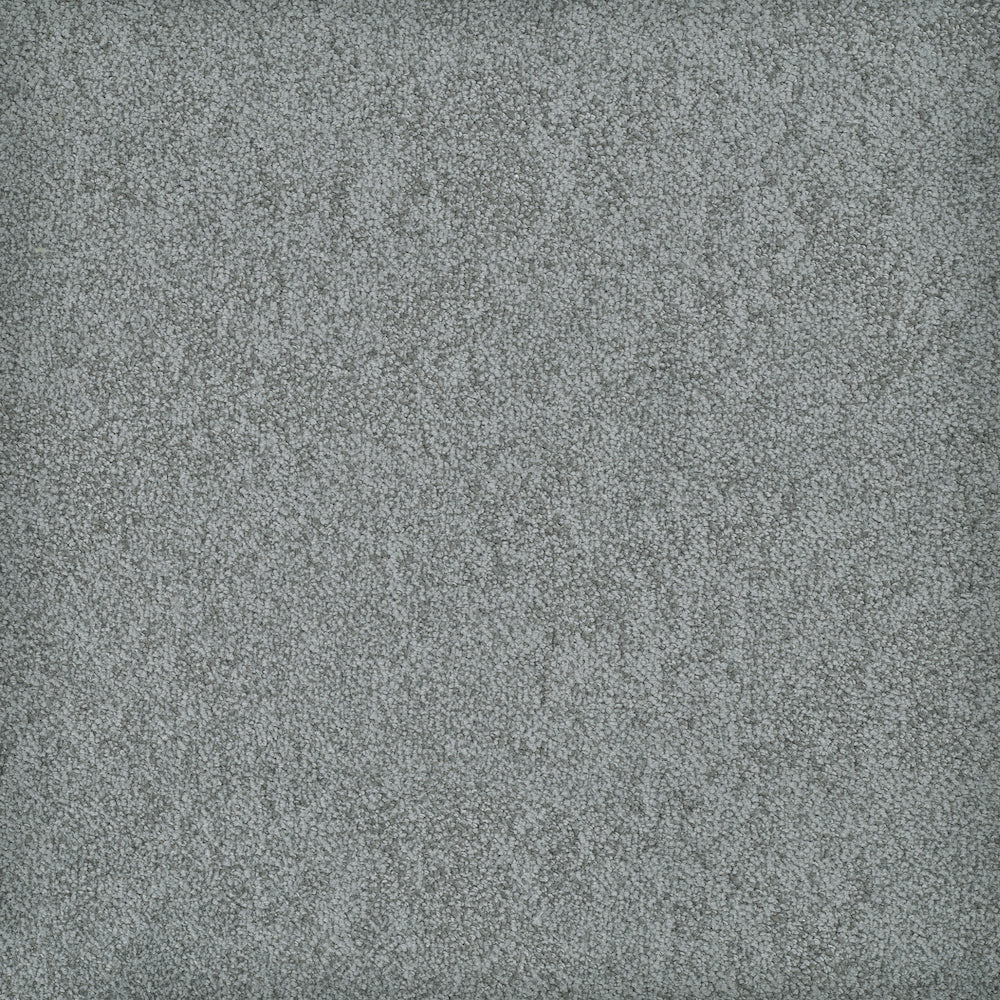 Atlantic Carpet Flooring Masland Carpets