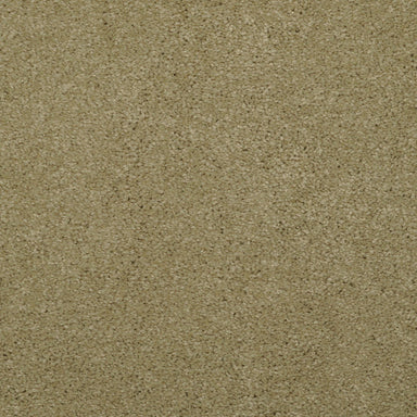 Allegria - Signature
