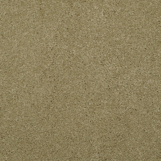 Allegria - Signature