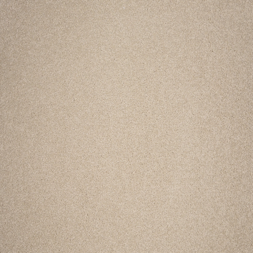 Harbor Town Carpet Flooring Masland Carpets