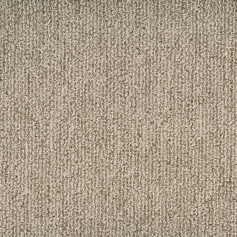 Carpets Bella | Masland Carpet Flooring Mesa