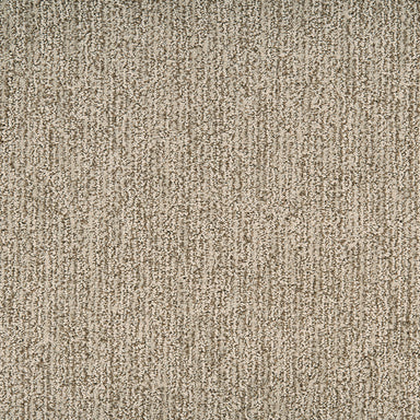 Mesa Bella Carpet Flooring | Masland Carpets