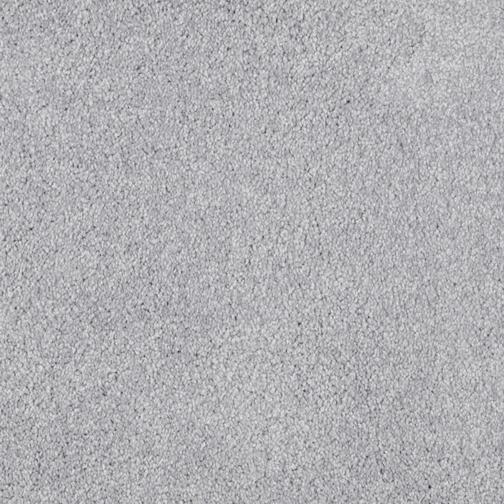 Oceanside Carpet Flooring Masland Carpets