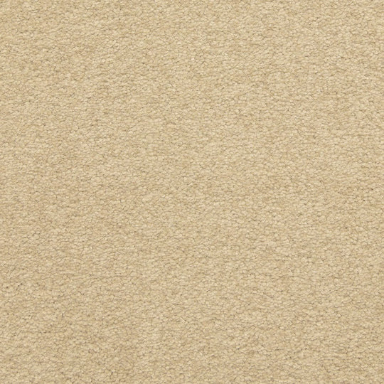 Unwavering - Signature