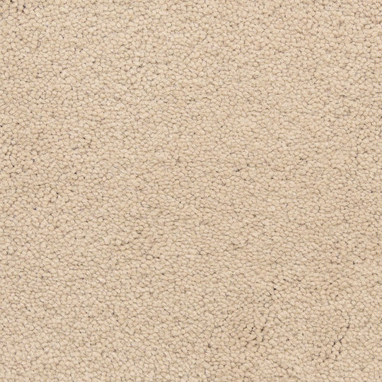 Roadster - Signature