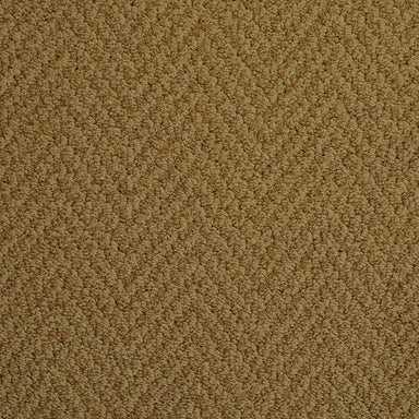 Agave - Signature