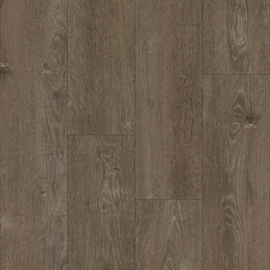 eNergy Flex - Dry Back in Lunar Oak