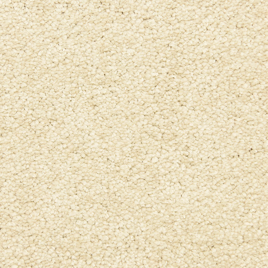 Vero Beach Carpet Flooring Masland Carpets