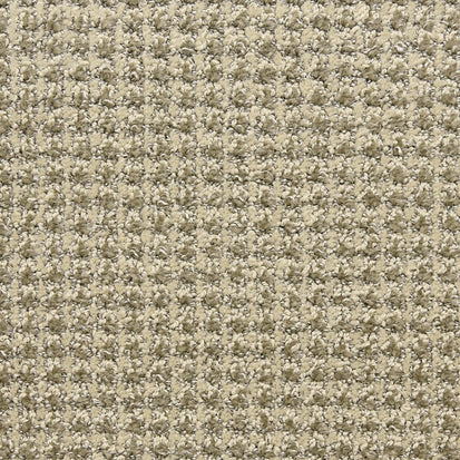 alpha in rhythm - Masland Carpets