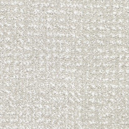 pedigree in vanity fur - Masland Carpets